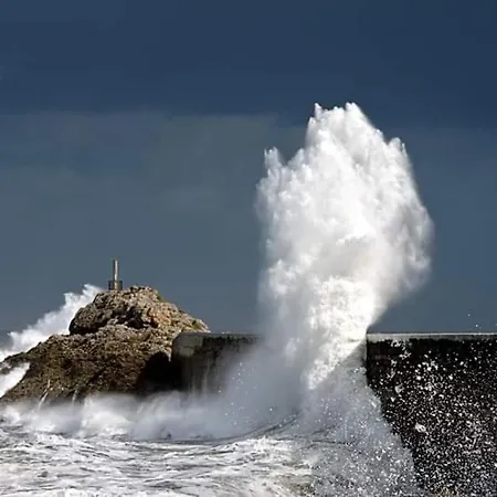 Apartment Loft Susana